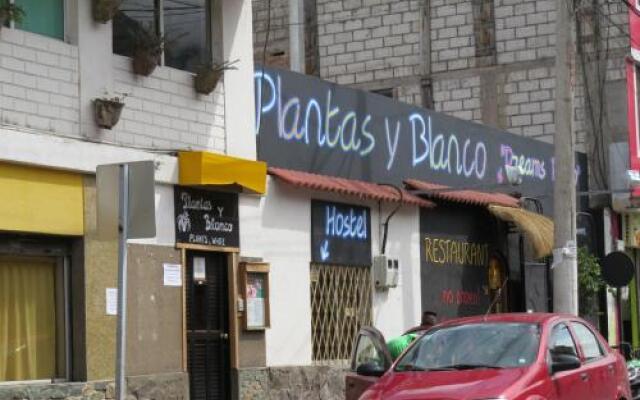 Hostal Plantas  Y Blanco