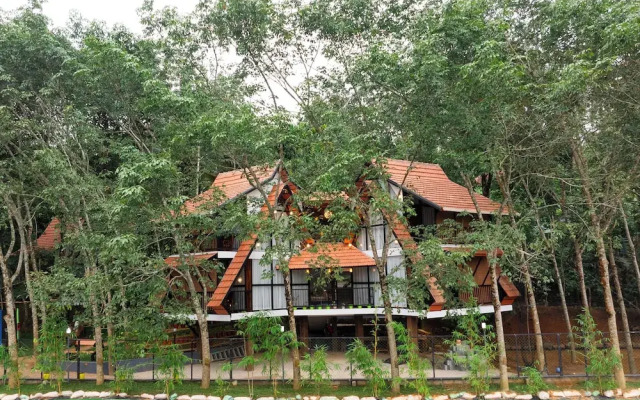 Wayanad Vista Palm View Homes