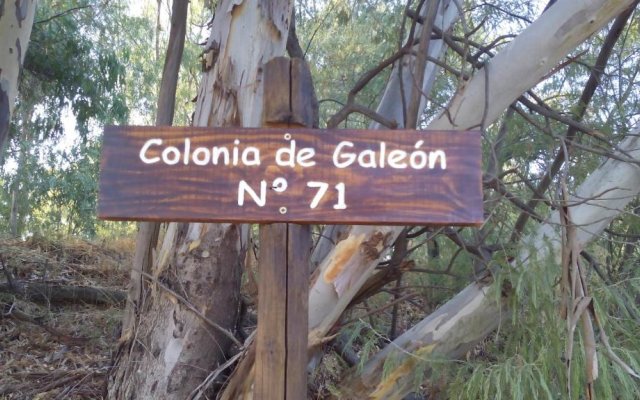Colonia de Galeón n  71