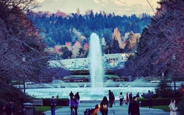 Seattle Uran Village- Olympic