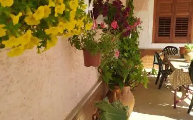 Camera Ulivo - Castelluzzo