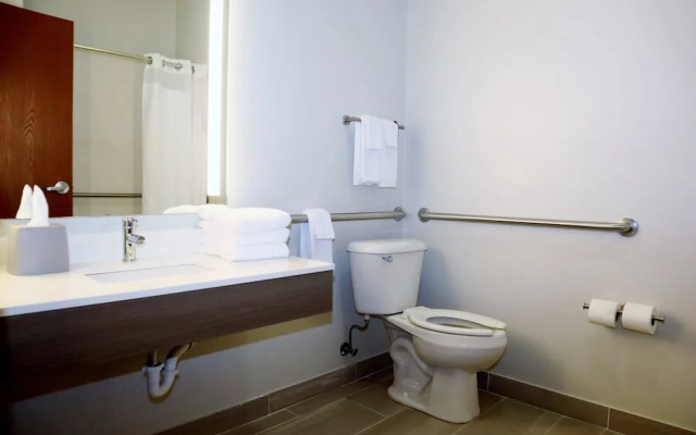 Holiday Inn Express Hotel & Suites Baton Rouge North