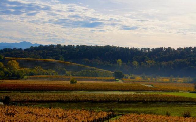 Gigante Wine & Welcome