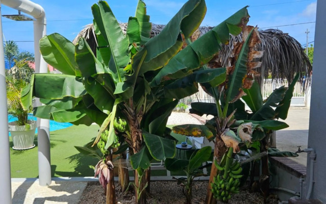 Villa Raven`s Paradise (Lavender)