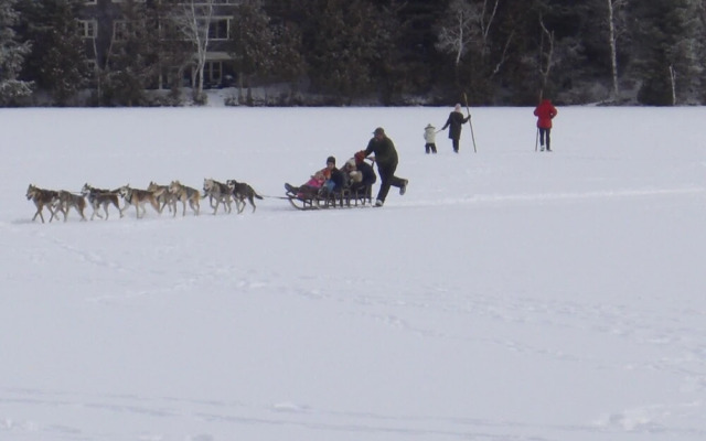 The Haus on Mirror Lake