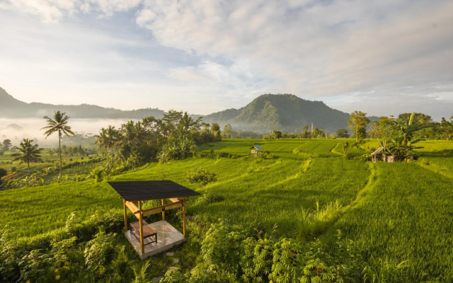 Ume Dukuh Home Sidemen