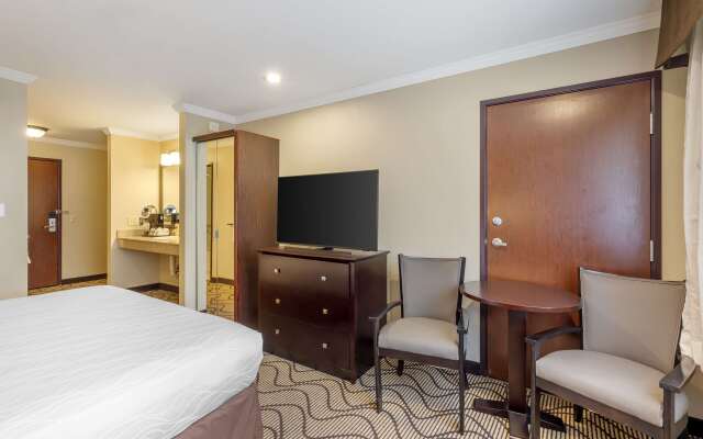 Best Western Plus Orchid Hotel & Suites