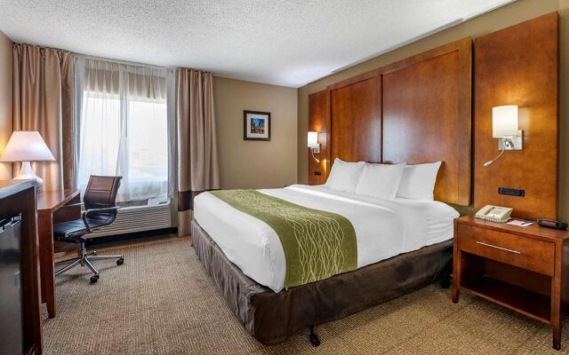 Comfort Inn Romeoville - Bolingbrook