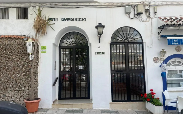 Palmeras 8 Menyber