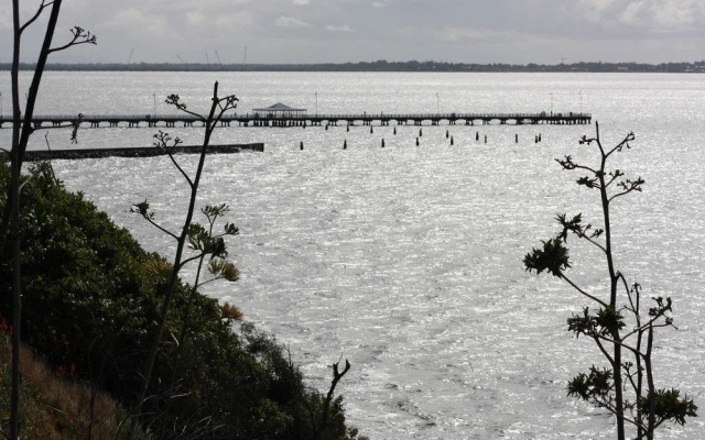 布里斯班纳拉可帕馆住宿加早餐旅馆(Naracoopa Bed & Breakfast & Pavilion Brisbane)