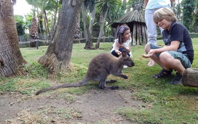 Hotel Selwo Lodge - Animal Park Tickets Included