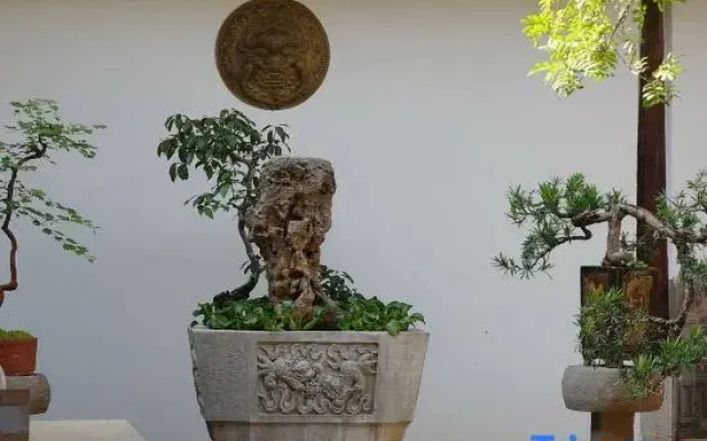 Zuo  Yuan  Resort