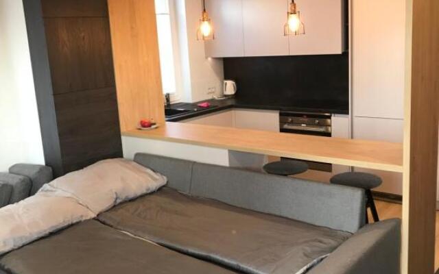 APARTAMENT ZAGNAŃSKA - Garaż