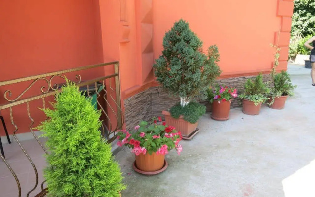 Dobry Kit Guest House