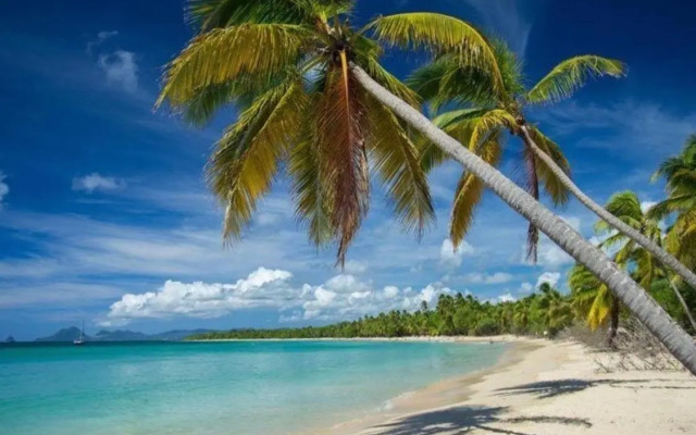 Résidence Plage Des Salines