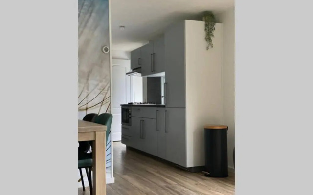 Modern rustgevend chalet in Putten 131