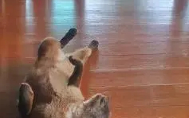 SeeSea Thai wooden house on beachfront