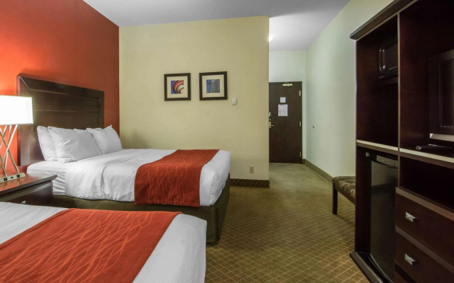Comfort Inn & Suites Airport South