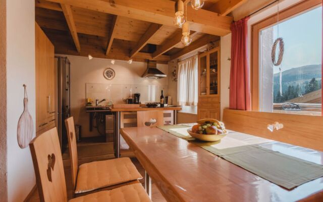 Apartment Hajenius Königsleiten