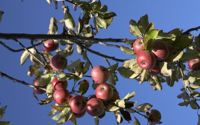 Azienda Agricola Le tore srl