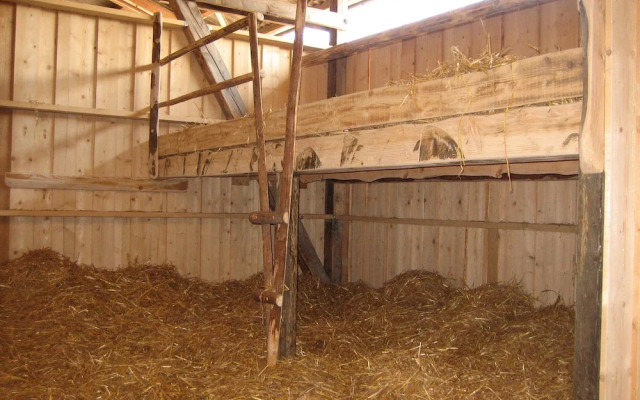 Steigmatt Bauernhof - Erlebnis