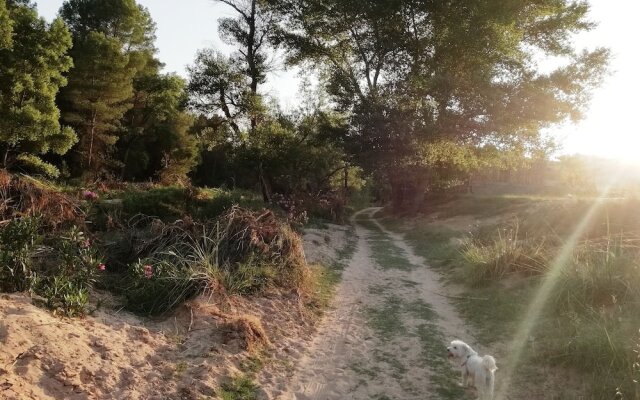 Casa Rural Puente del Segura F
