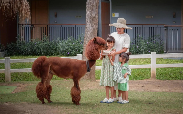 dusitD2 Khao Yai