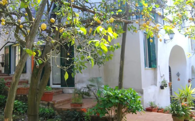 Sorrento Studios Lemons Hill