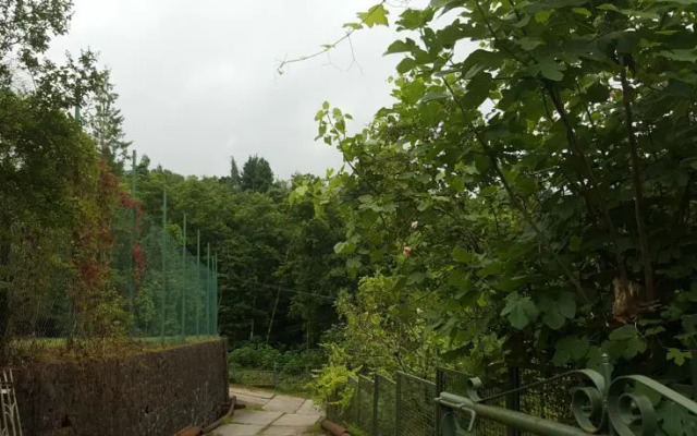 Bambarbia Guesthouse