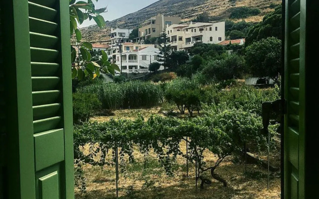 The house in the port