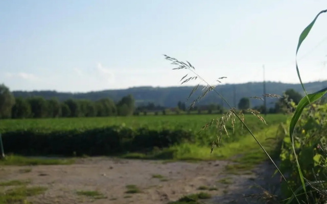 Agriturismo alla Corte