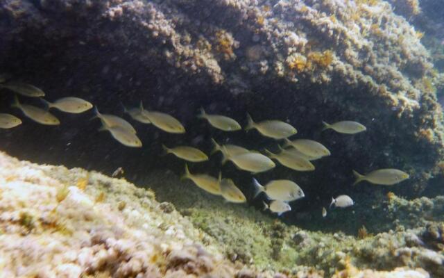 Appartamenti La Quiete