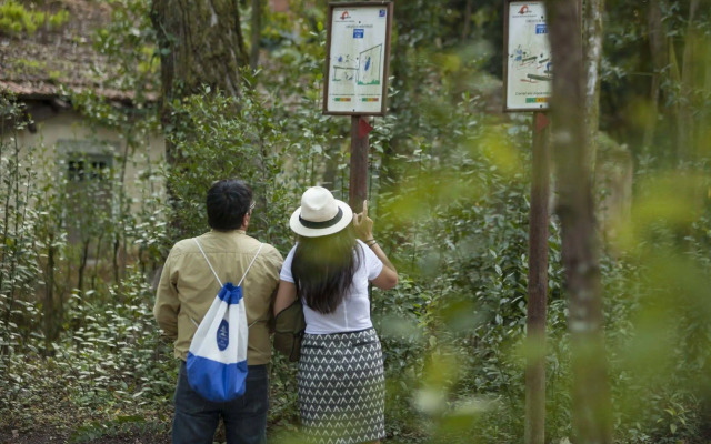 Hotel das Termas Curia