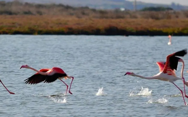 Agriturismo S'Incant'e Sinis