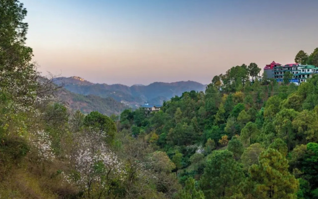 The Hosteller Kasauli