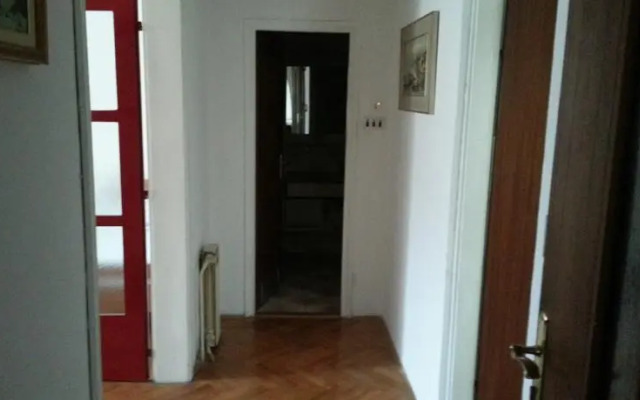 Apartments Flat ZG Center