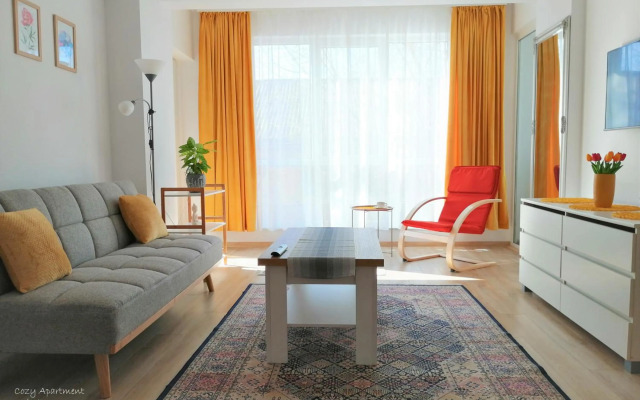 Cozy Apartment Bujorilor Suceava