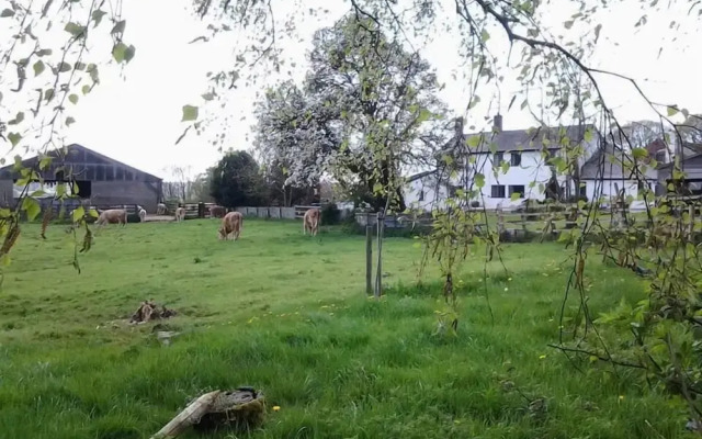 Thorps Farm Bed and Breakfast