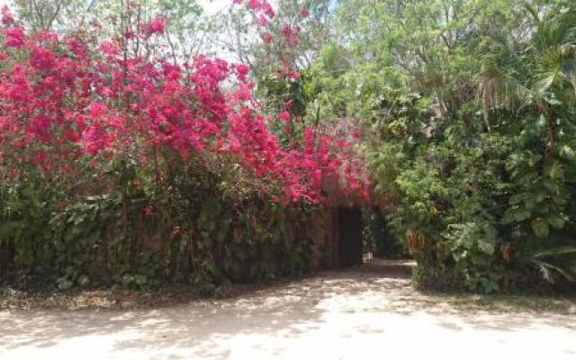 Casa En La Selva A 15 Min Aeropuerto