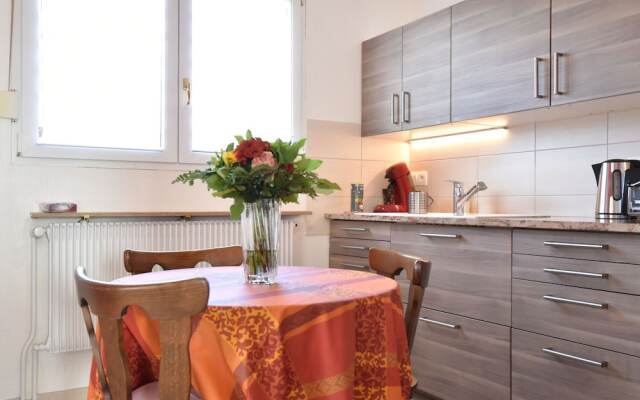 Spacious Holiday Home in Niderviller with Garden