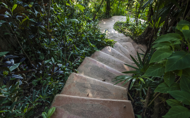 Phu Chaisai Chiang Rai Mountain Resort