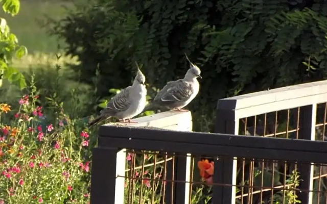 Barklysuites Apartments