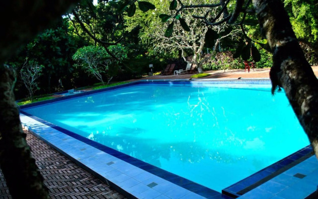 Peacock Beach Resort & Spa