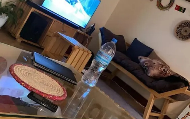 Cactus House Experience