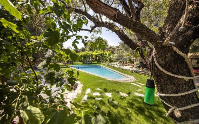 House With Impressive Interior Design in Bodrum