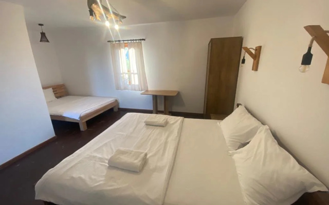 Gradina Aricilor Sf Gheorghe