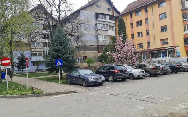 Nehoiu apartament