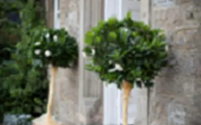 Low Gingerfield Farm B&B