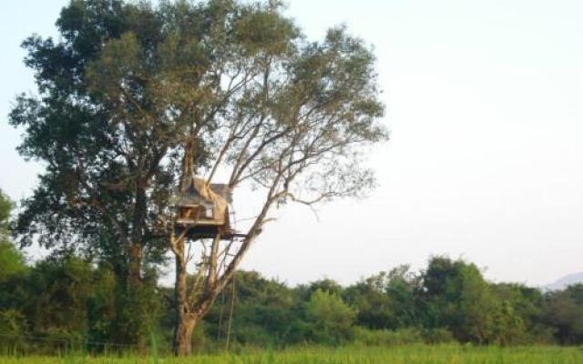 Castle Rock Sigiriya