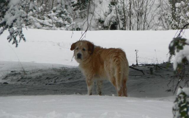 Villa Cernigliaro Dimora storica